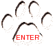 Enter Here